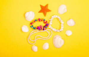 shells